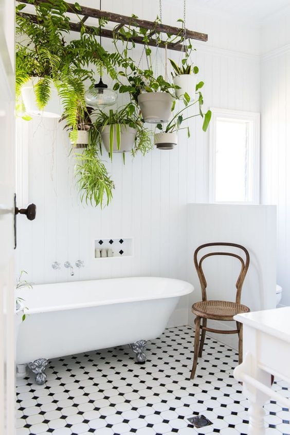 plantes suspendues sous un echelle dans une salle de bain 